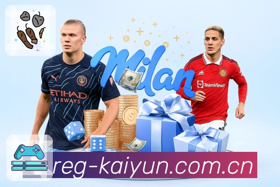 全球用户分布热度图